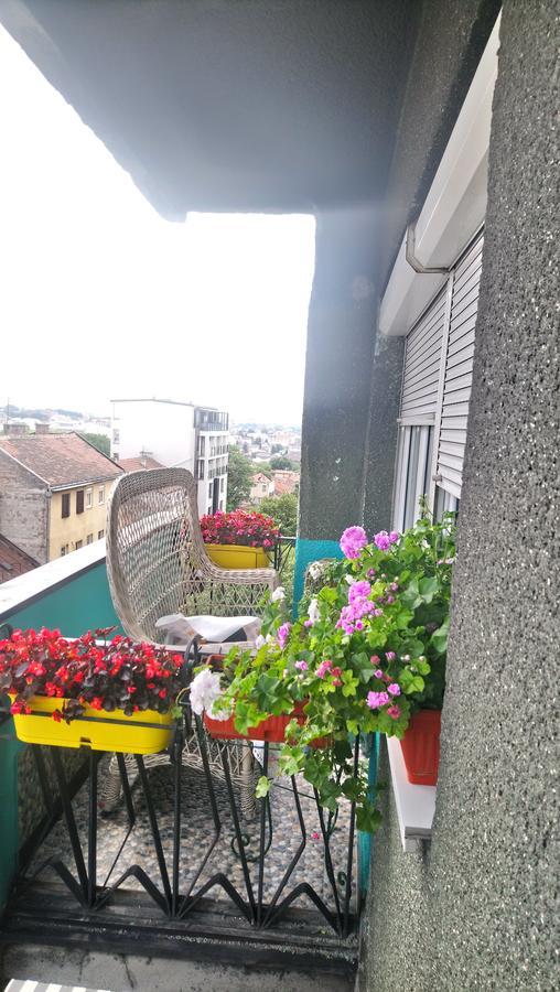 Apartament Garden Belgrad Zewnętrze zdjęcie