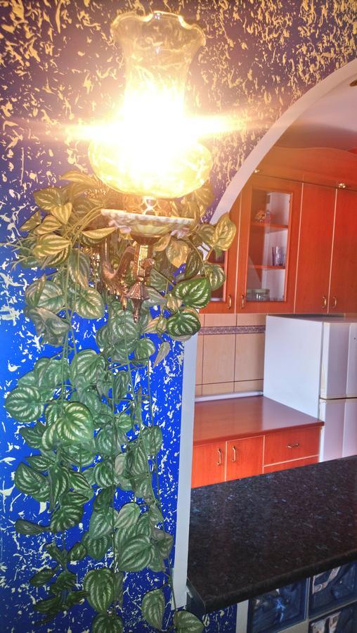 Apartament Garden Belgrad Zewnętrze zdjęcie